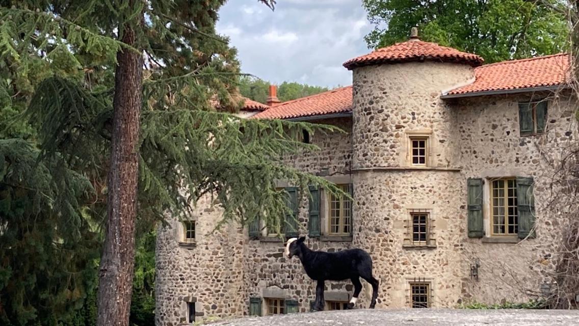 Chateau De Durianne Le Monteil  Екстериор снимка