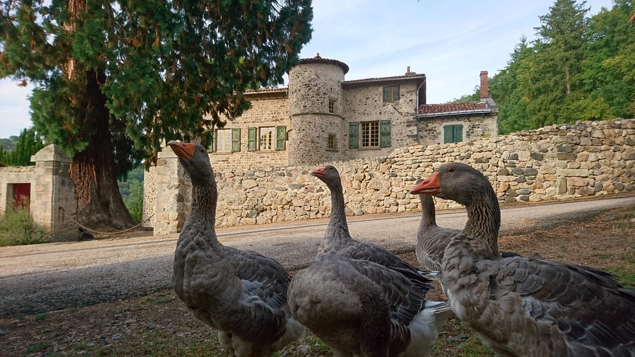 Chateau De Durianne Le Monteil  Екстериор снимка
