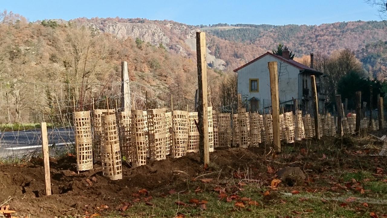 Chateau De Durianne Le Monteil  Екстериор снимка